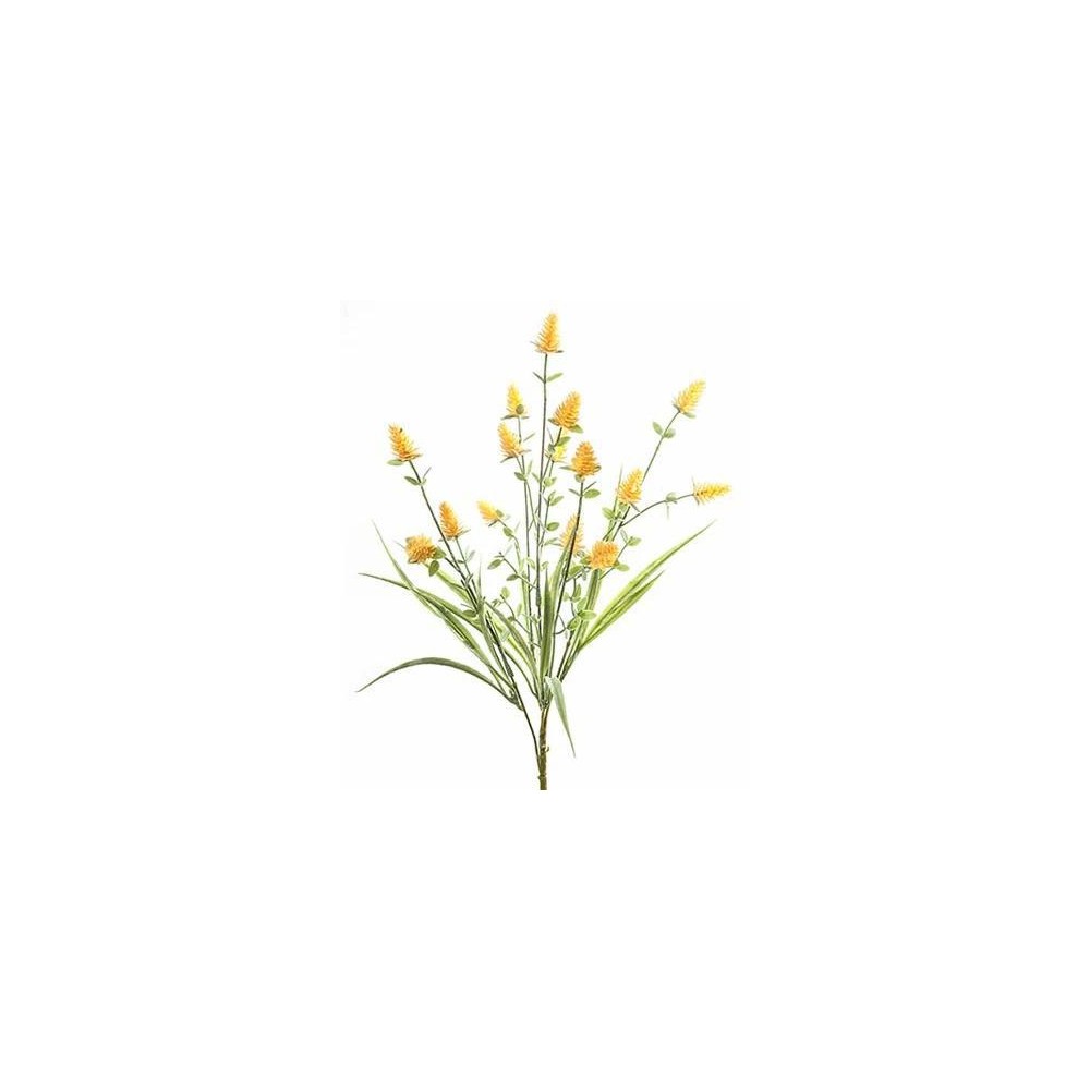 BUSH CLOVER FIORITO YELLOW CM42